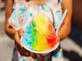 Shaved Ice Snow Cone Service Business Plan