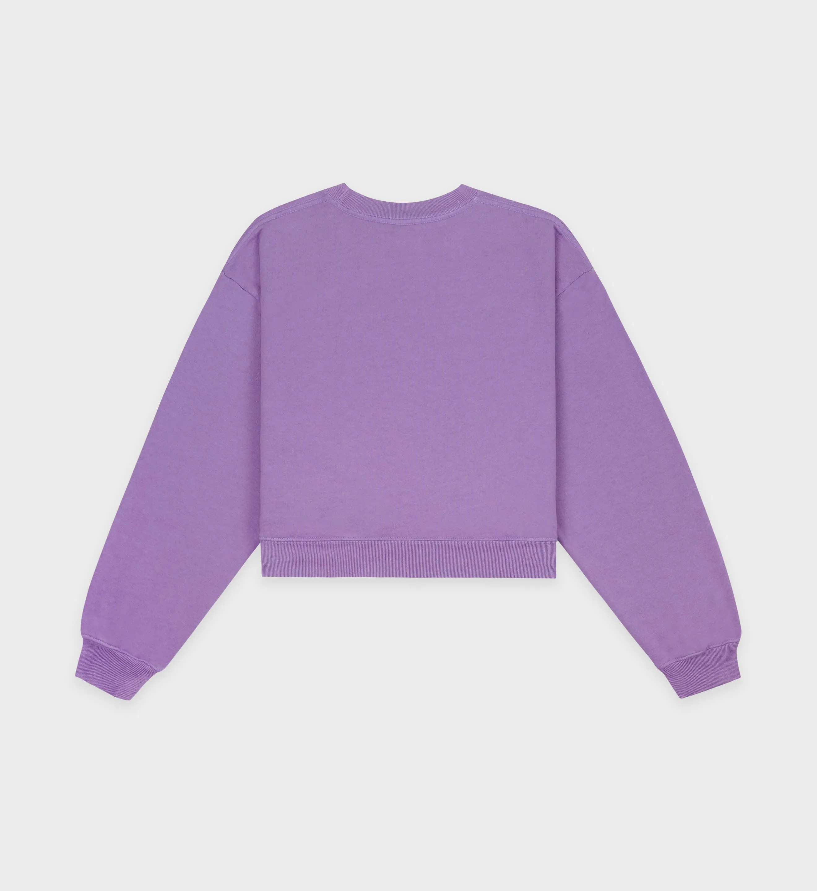 Wellness Ivy Cropped Crewneck - Violet/White